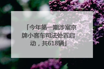 今年第一期涉案京牌小客车司法处置启动，共618辆