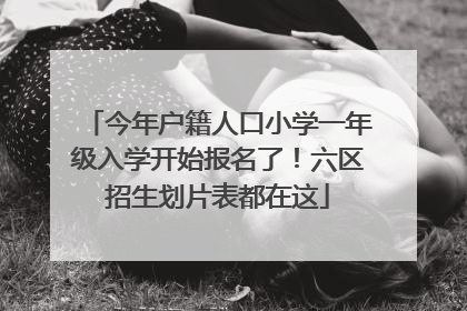 今年户籍人口小学一年级入学开始报名了！六区招生划片表都在这