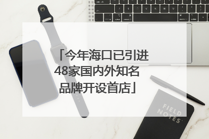今年海口已引进48家国内外知名品牌开设首店