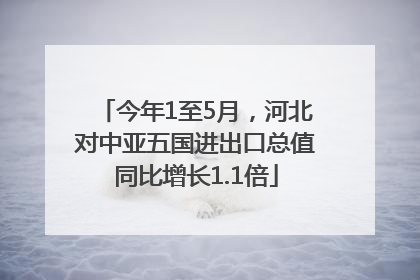 今年1至5月，河北对中亚五国进出口总值同比增长1.1倍