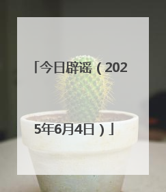 今日辟谣（2025年6月4日）