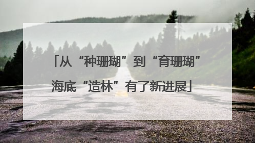 从“种珊瑚”到“育珊瑚” 海底“造林”有了新进展