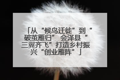 从“候鸟迁徙”到“破茧雁归” 会泽县“三翼齐飞”打造乡村振兴“创业雁阵”
