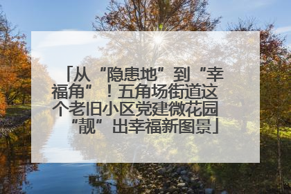 从“隐患地”到“幸福角”！五角场街道这个老旧小区党建微花园“靓”出幸福新图景