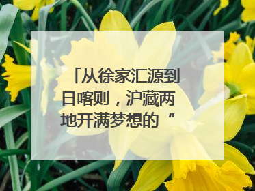 从徐家汇源到日喀则，沪藏两地开满梦想的“格桑花”！