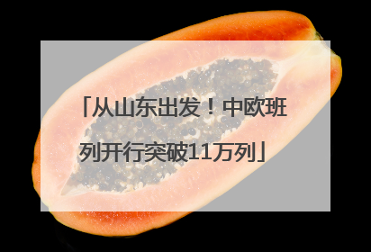 从山东出发！中欧班列开行突破11万列
