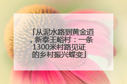 从泥水路到黄金道，新泰王峪村：一条1300米村路见证的乡村振兴蝶变