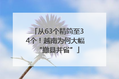 从63个精简至34个！越南为何大幅“撤县并省”