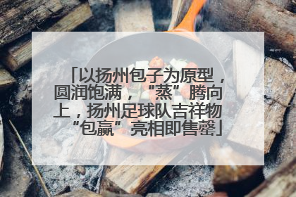 以扬州包子为原型，圆润饱满，“蒸”腾向上，扬州足球队吉祥物“包赢”亮相即售罄