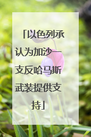 以色列承认为加沙一支反哈马斯武装提供支持