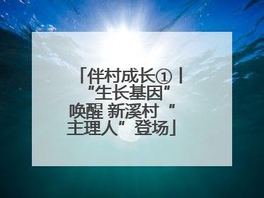 伴村成长①丨 “生长基因”唤醒 新溪村“主理人”登场