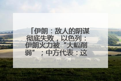 伊朗：敌人的阴谋彻底失败，以色列：伊朗火力被“大幅削弱”；中方代表：这次不能再有欺骗