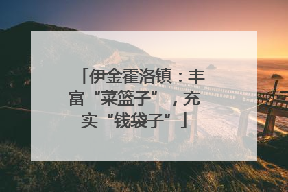 伊金霍洛镇：丰富“菜篮子”，充实“钱袋子”