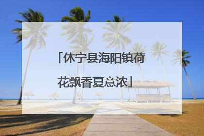 休宁县海阳镇荷花飘香夏意浓
