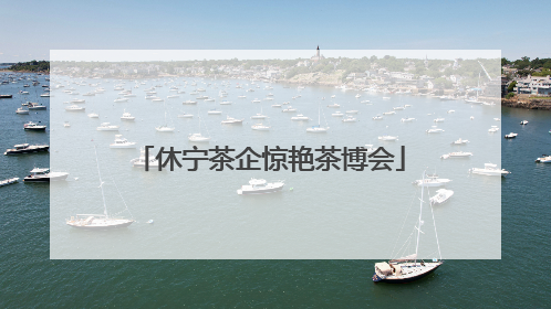 休宁茶企惊艳茶博会