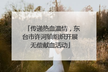 传递热血温情，东台市许河镇组织开展无偿献血活动