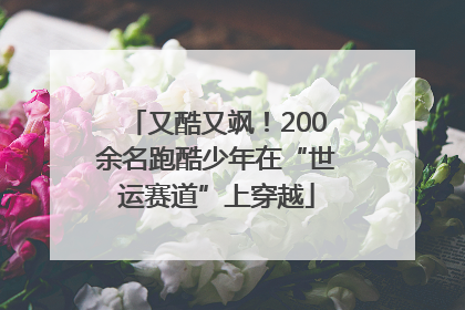 又酷又飒！200余名跑酷少年在“世运赛道”上穿越