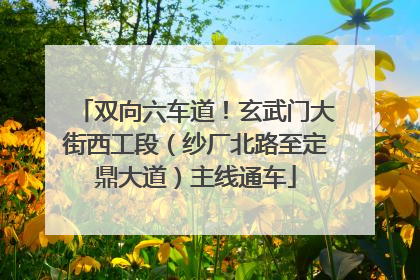 双向六车道！玄武门大街西工段（纱厂北路至定鼎大道）主线通车