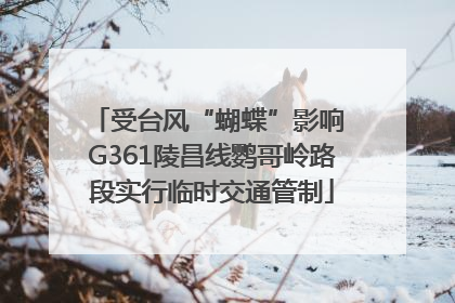 受台风“蝴蝶”影响 G361陵昌线鹦哥岭路段实行临时交通管制