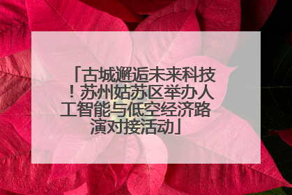 古城邂逅未来科技！苏州姑苏区举办人工智能与低空经济路演对接活动