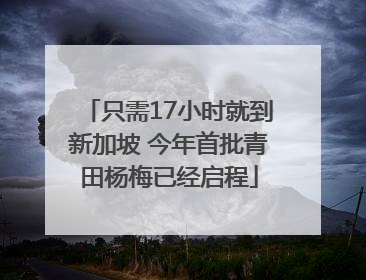 只需17小时就到新加坡 今年首批青田杨梅已经启程