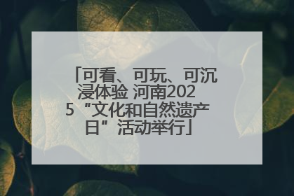 可看、可玩、可沉浸体验 河南2025“文化和自然遗产日”活动举行