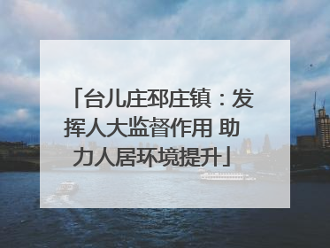 台儿庄邳庄镇：发挥人大监督作用 助力人居环境提升