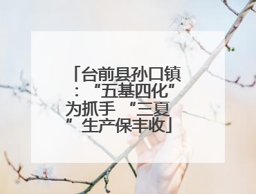 台前县孙口镇：“五基四化”为抓手 “三夏”生产保丰收