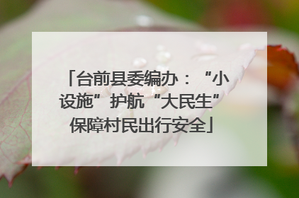 台前县委编办：“小设施”护航“大民生” 保障村民出行安全