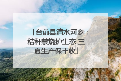 台前县清水河乡：秸秆禁烧护生态 三夏生产保丰收