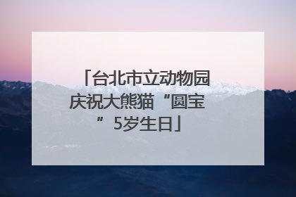台北市立动物园庆祝大熊猫“圆宝”5岁生日