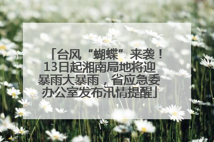 台风“蝴蝶”来袭！13日起湘南局地将迎暴雨大暴雨，省应急委办公室发布汛情提醒