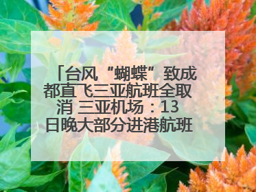 台风“蝴蝶”致成都直飞三亚航班全取消 三亚机场：13日晚大部分进港航班还未取消