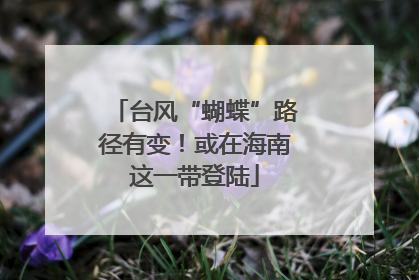 台风“蝴蝶”路径有变！或在海南这一带登陆
