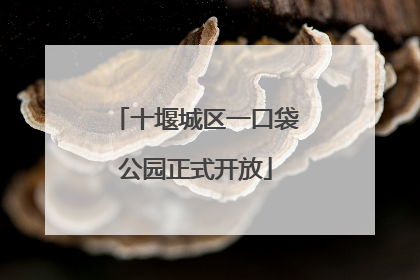 十堰城区一口袋公园正式开放