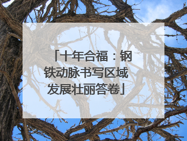 十年合福：钢铁动脉书写区域发展壮丽答卷