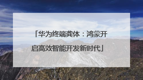 华为终端龚体：鸿蒙开启高效智能开发新时代