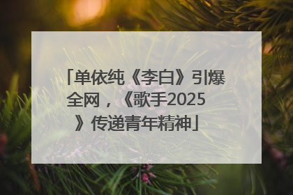 单依纯《李白》引爆全网，《歌手2025》传递青年精神