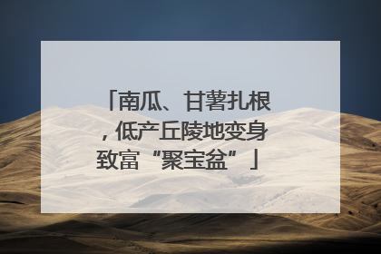 南瓜、甘薯扎根，低产丘陵地变身致富“聚宝盆”