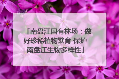 南盘江国有林场：做好珍稀植物繁育 保护南盘江生物多样性
