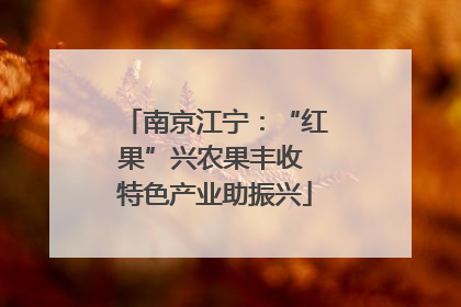 南京江宁：“红果”兴农果丰收 特色产业助振兴