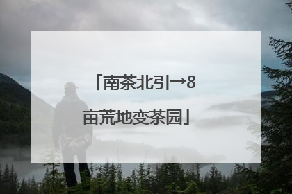 南茶北引→8亩荒地变茶园