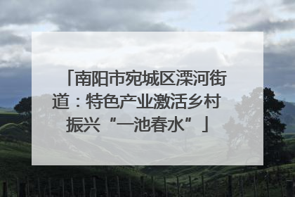 南阳市宛城区溧河街道：特色产业激活乡村振兴“一池春水”