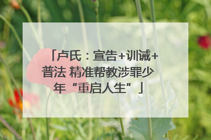 卢氏：宣告+训诫+普法 精准帮教涉罪少年“重启人生”