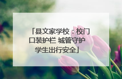 县文家学校：校门口装护栏 城管守护学生出行安全