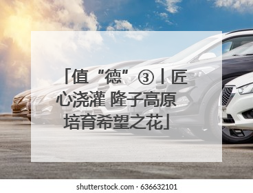 值“德”③丨匠心浇灌 隆子高原培育希望之花