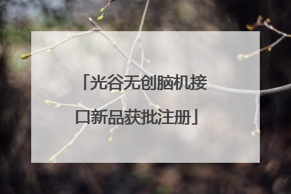 光谷无创脑机接口新品获批注册