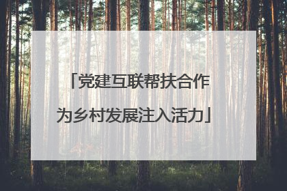 党建互联帮扶合作 为乡村发展注入活力