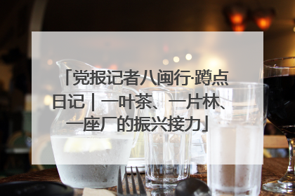 党报记者八闽行·蹲点日记｜一叶茶、一片林、一座厂的振兴接力