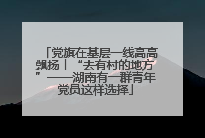 党旗在基层一线高高飘扬丨“去有村的地方”——湖南有一群青年党员这样选择